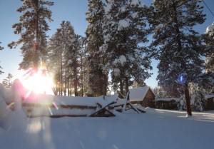 5 river cabin