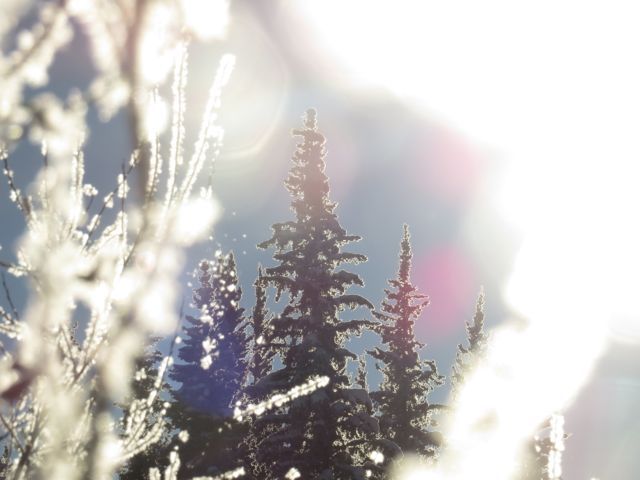 blurred sun and ice