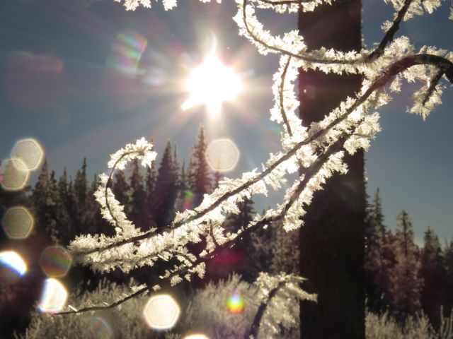 sun and ice