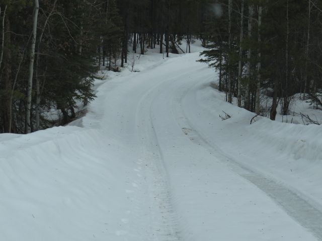 1 fresh snow on road