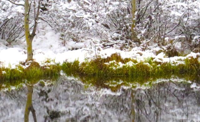 2 snow on pond