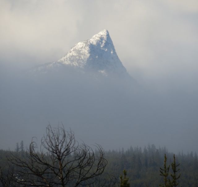 5 Finger Peak peeking