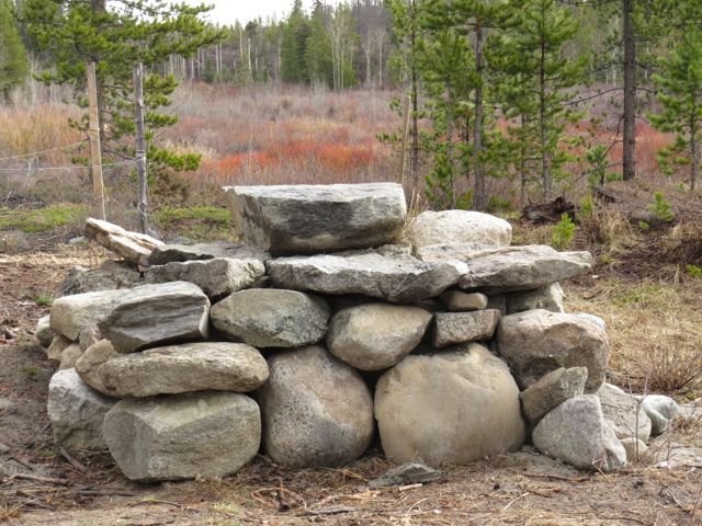 6 stone oven