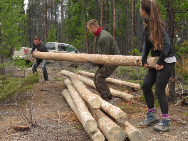 9 hauling logs