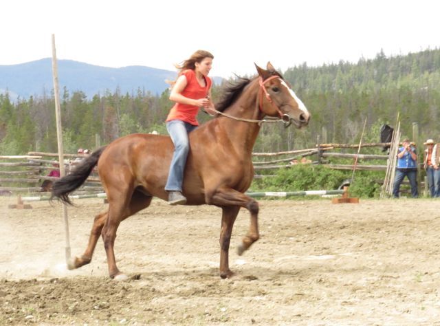 12 bareback riding