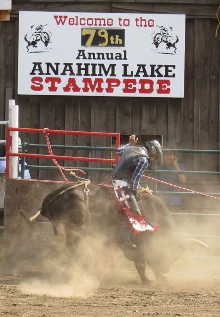 1 bull and sign