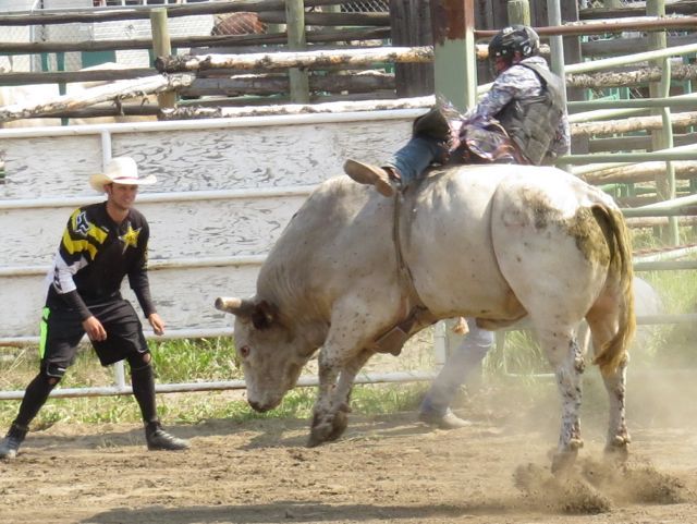 28 bull riding