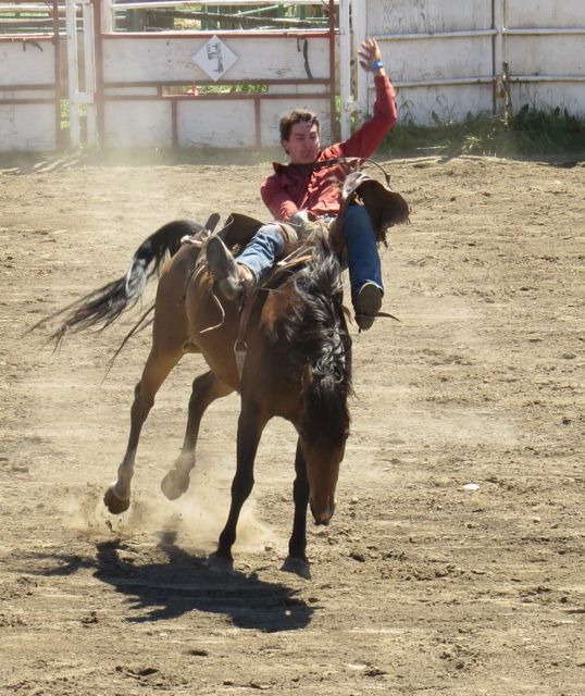 4 saddle bronc 1