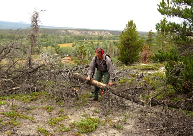 1 trail clearing