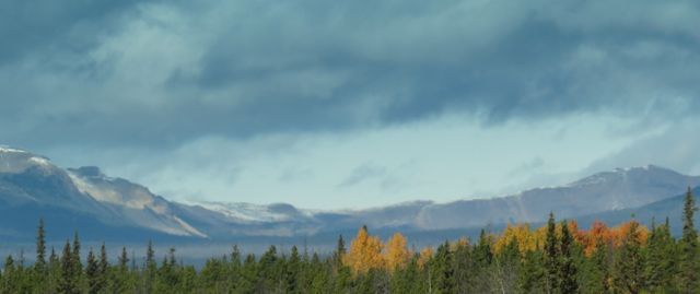 1 road to bella coola