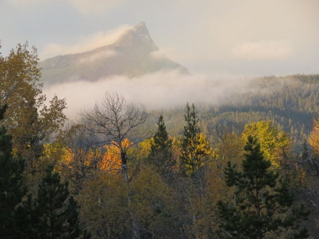 12 fog trailing finger peak