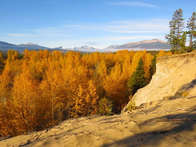 19 cottonwoods and sand bluffs