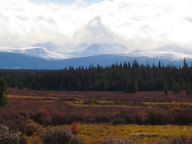 29 cariboo flats