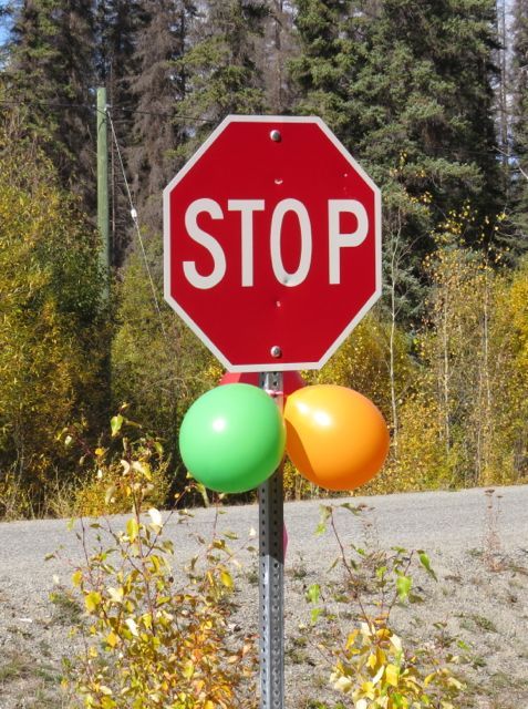 9 party 1 stop sign