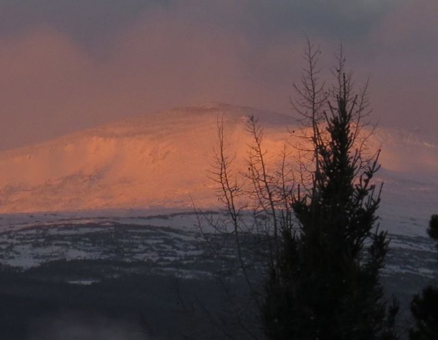 10 orange snow