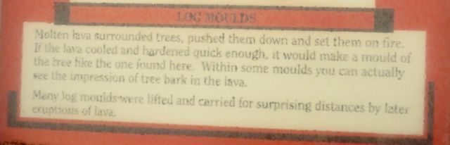 11 log mold explanation