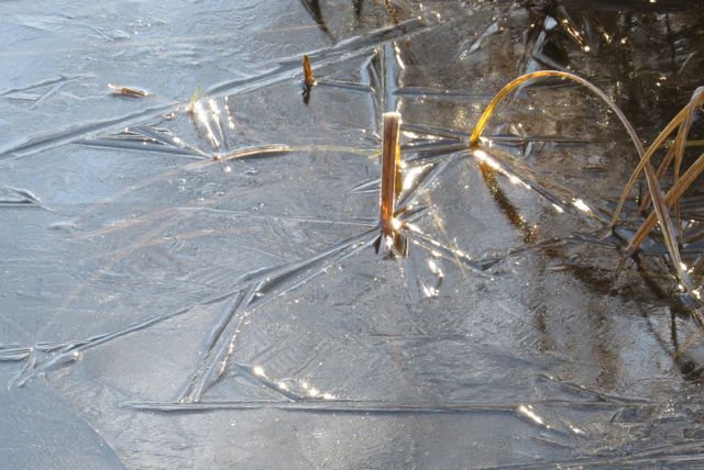 2a first ice on pond