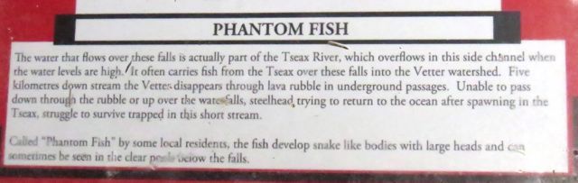 6 phantom fish explanation
