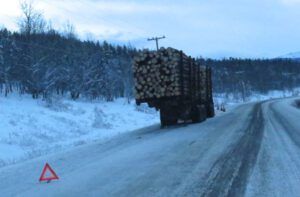 5 dead logging truck