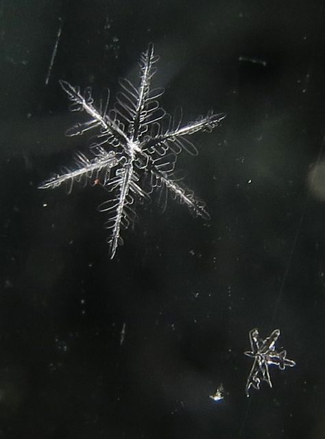 5 snowflake