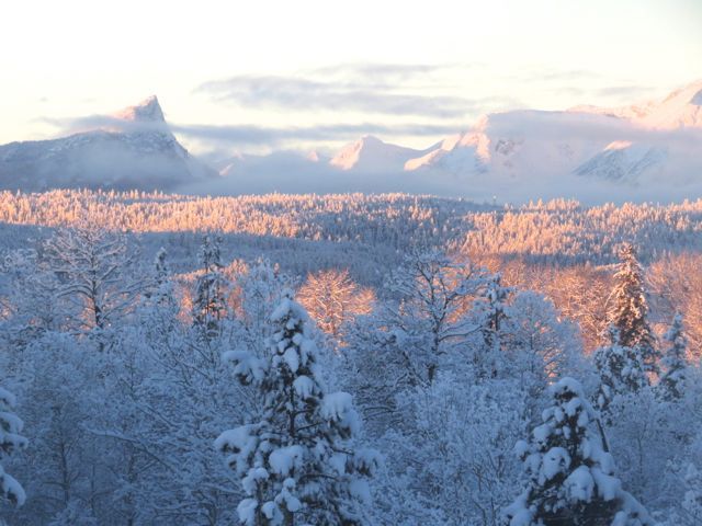 9 xmas morning panorama