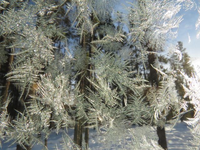 9 frosty windshield