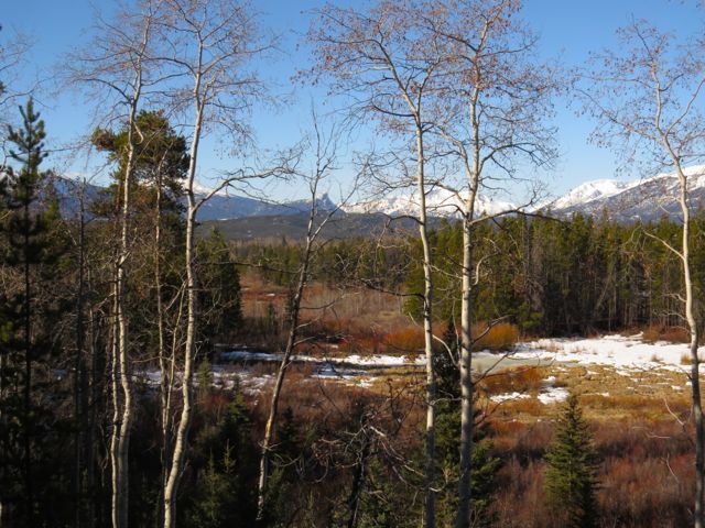 1 viewpoint w: aspens