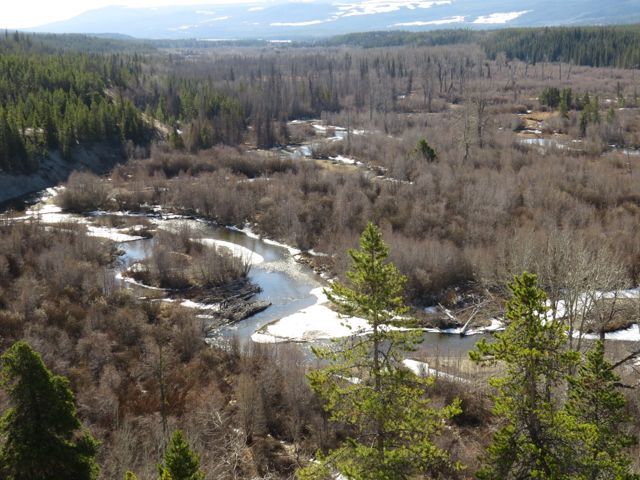 11 wetland from sth bluff