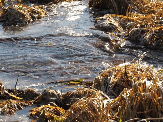 4 creek flowing