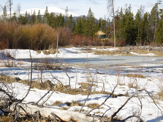 5 pond and yurt