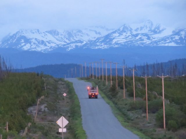 5 logging trucks