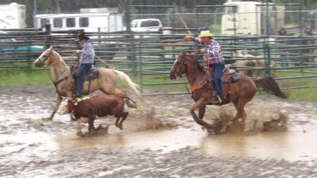 20 team roping again