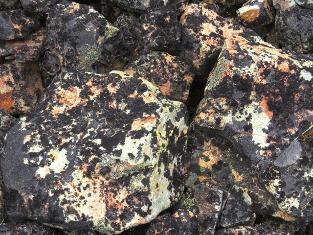 23 rock and lichen colours