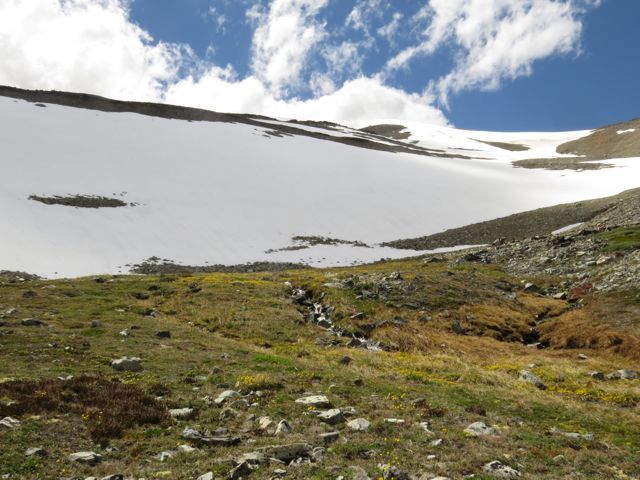 42 below snow bank