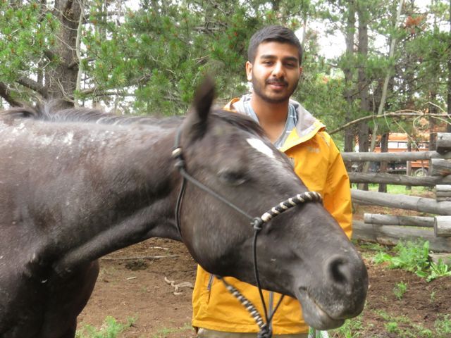 6 sanjey and horse