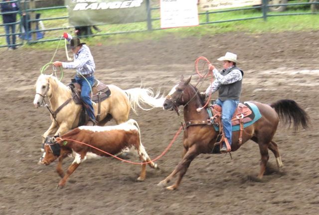 8 team roping