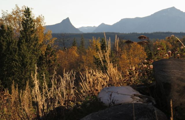 14a-rock-garden-evening