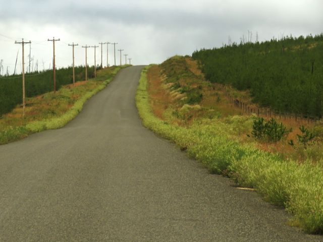 1b-brown-roadside
