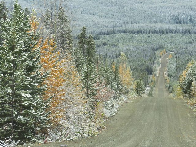 22-logging-road
