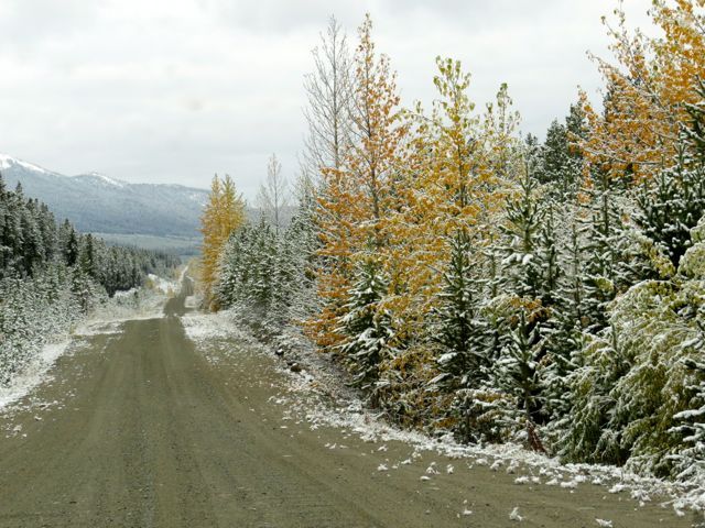 22a-logging-road-2