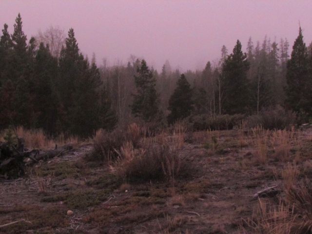 10-pink-fog