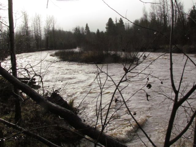river-flood