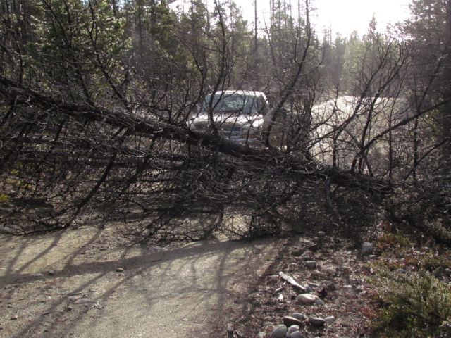 road-clearing