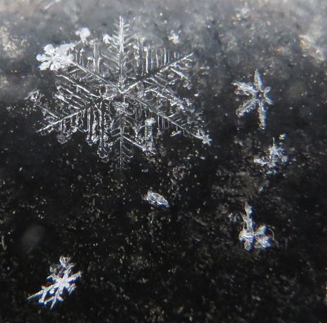 snowflakes-1